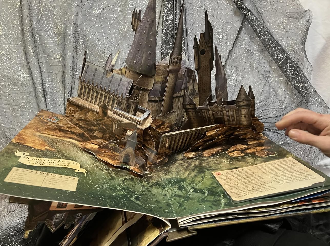 Harry Potter books and collectables are in store this week at Mary Potter Hospice Shop Porirua, all described by the shop as being in great condition.