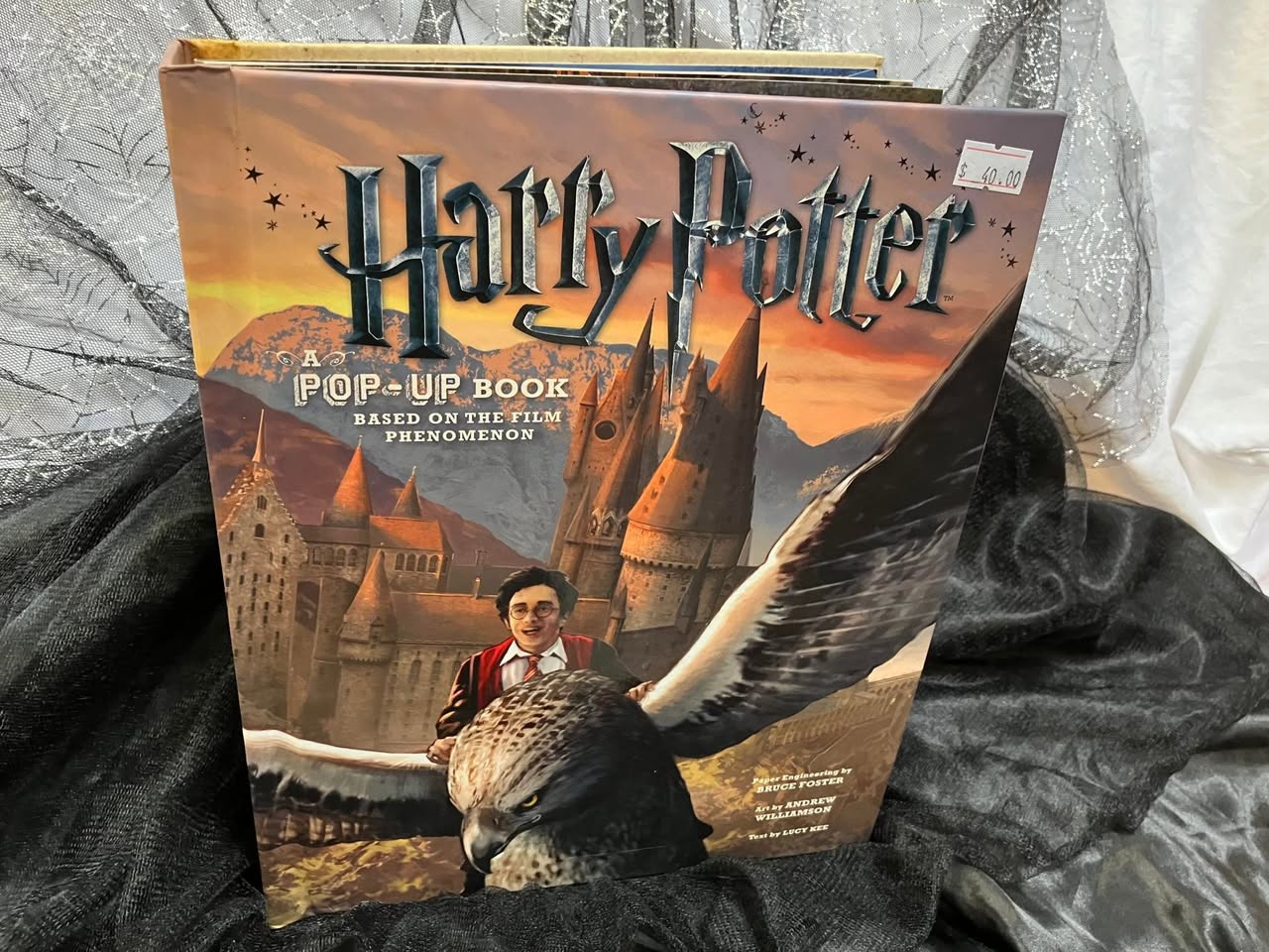 Harry Potter books and collectables are in store this week at Mary Potter Hospice Shop Porirua, all described by the shop as being in great condition.