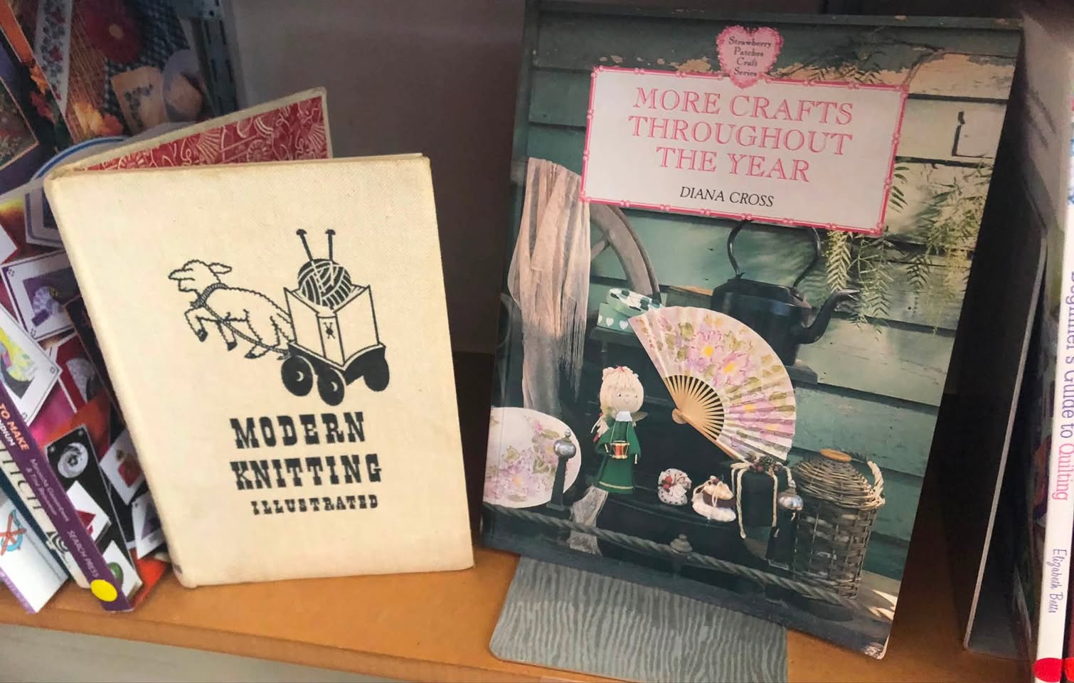 A new selection of books at the Hastings Host Lions Book Shop for this weekend, including children’s, fiction and non-fiction books.