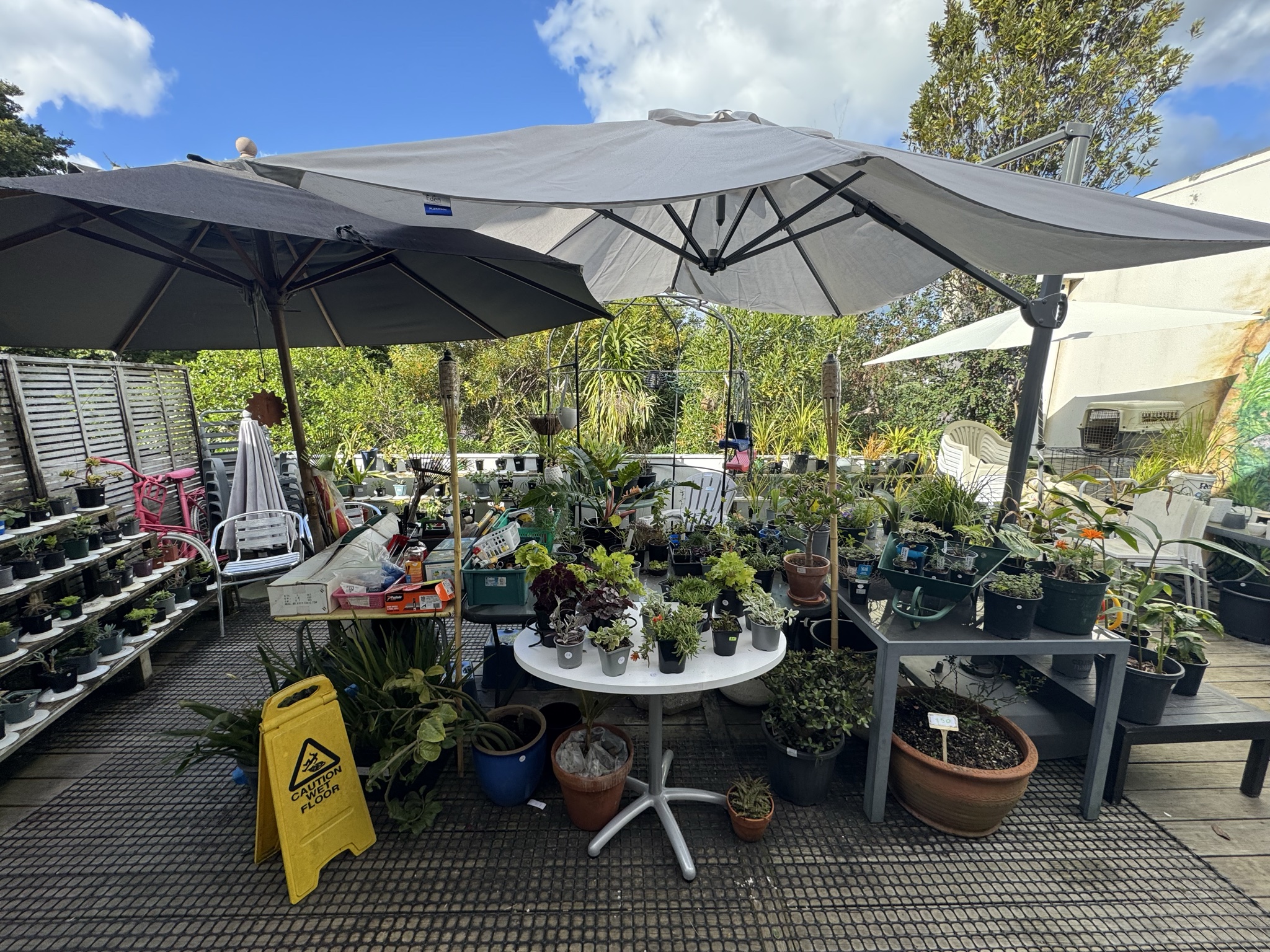 Across from the Wairau quartet this Hospice Shop has a great range of clothes ($5 sale), artwork, shoes, bags and is always worth a stop in