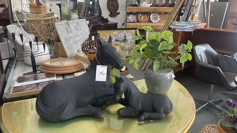 Check out Twice Treasured in Maitland