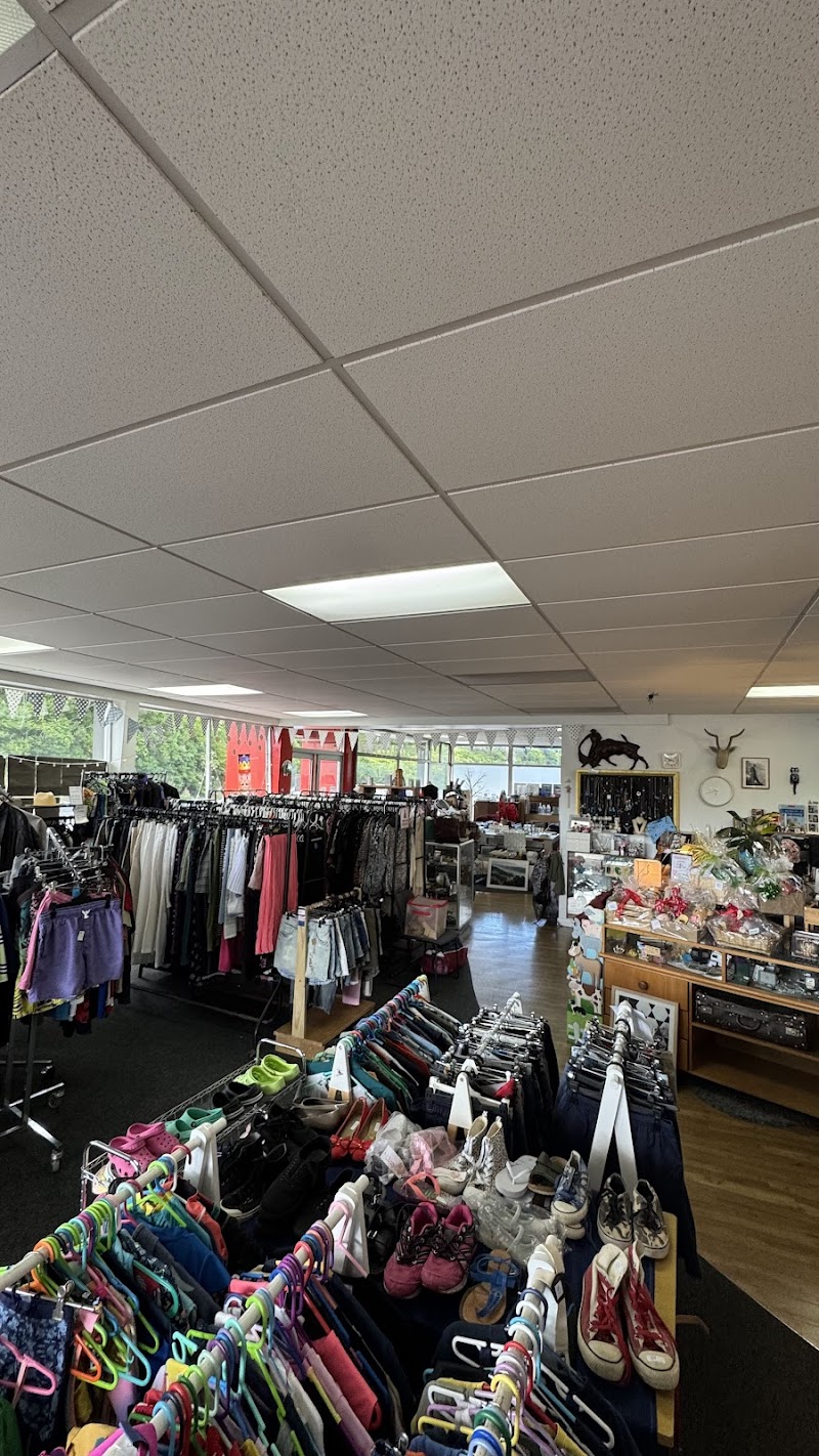 Check out Generosity Corner in Warkworth