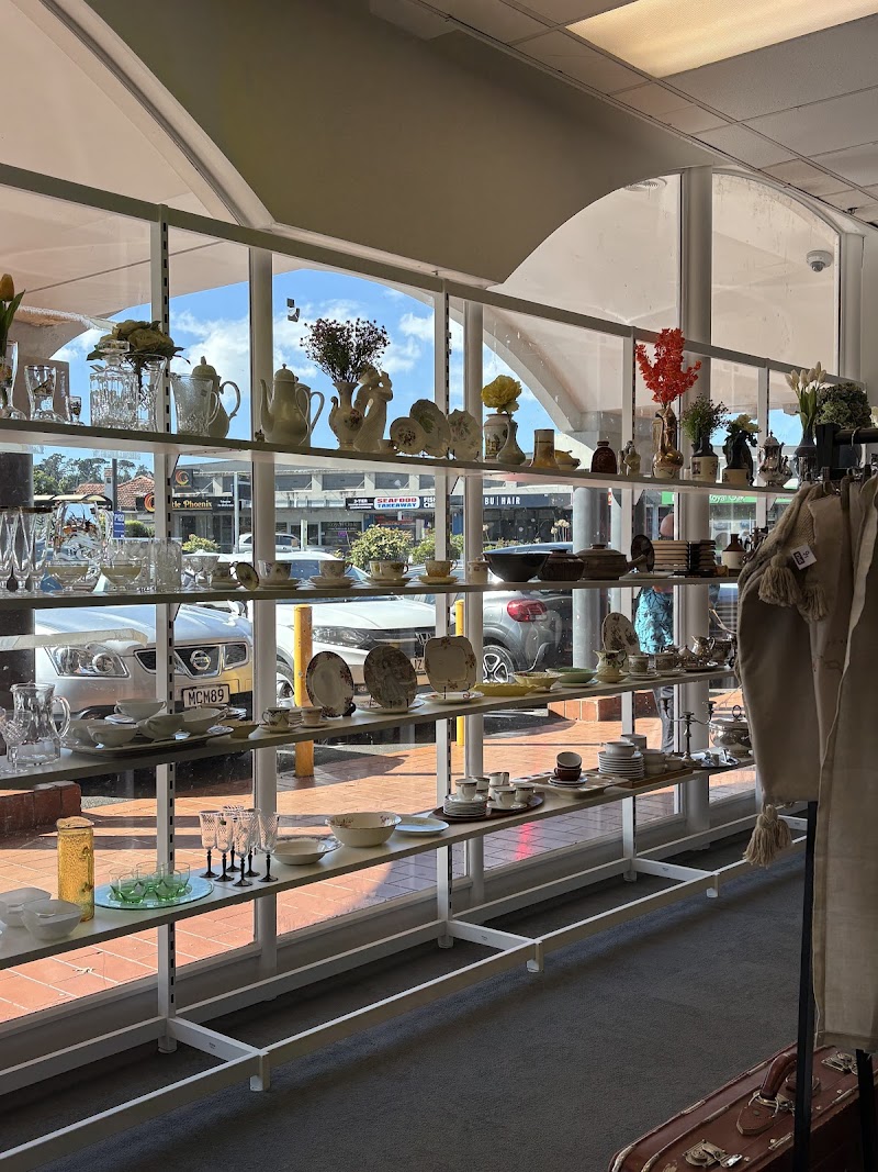 Check out SPCA Op Shop Royal Oak in Royal Oak