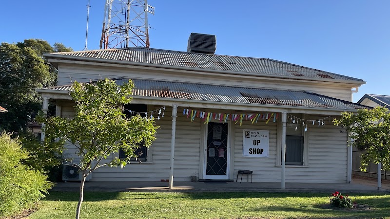 Check out Shear Outback Op Shop Hay in Hay