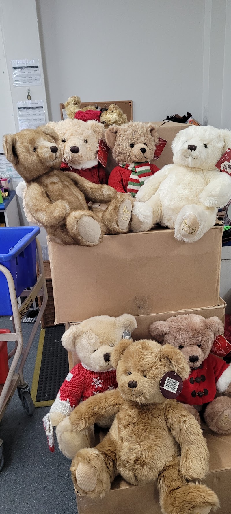 Check out Vinnies Rockdale in ROCKDALE