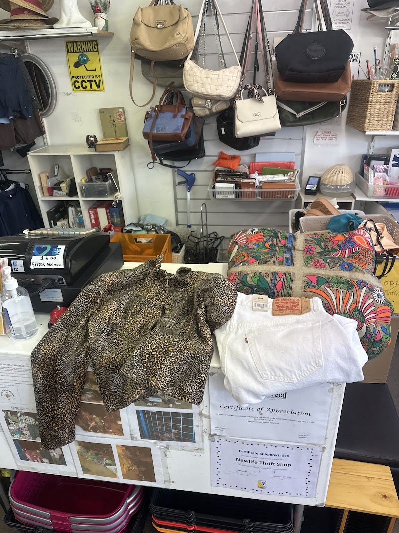 Check out NewLife Thrift Shop Oxley in Oxley