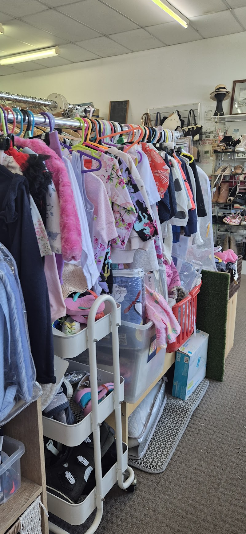 Check out NewLife Thrift Shop Oxley in Oxley