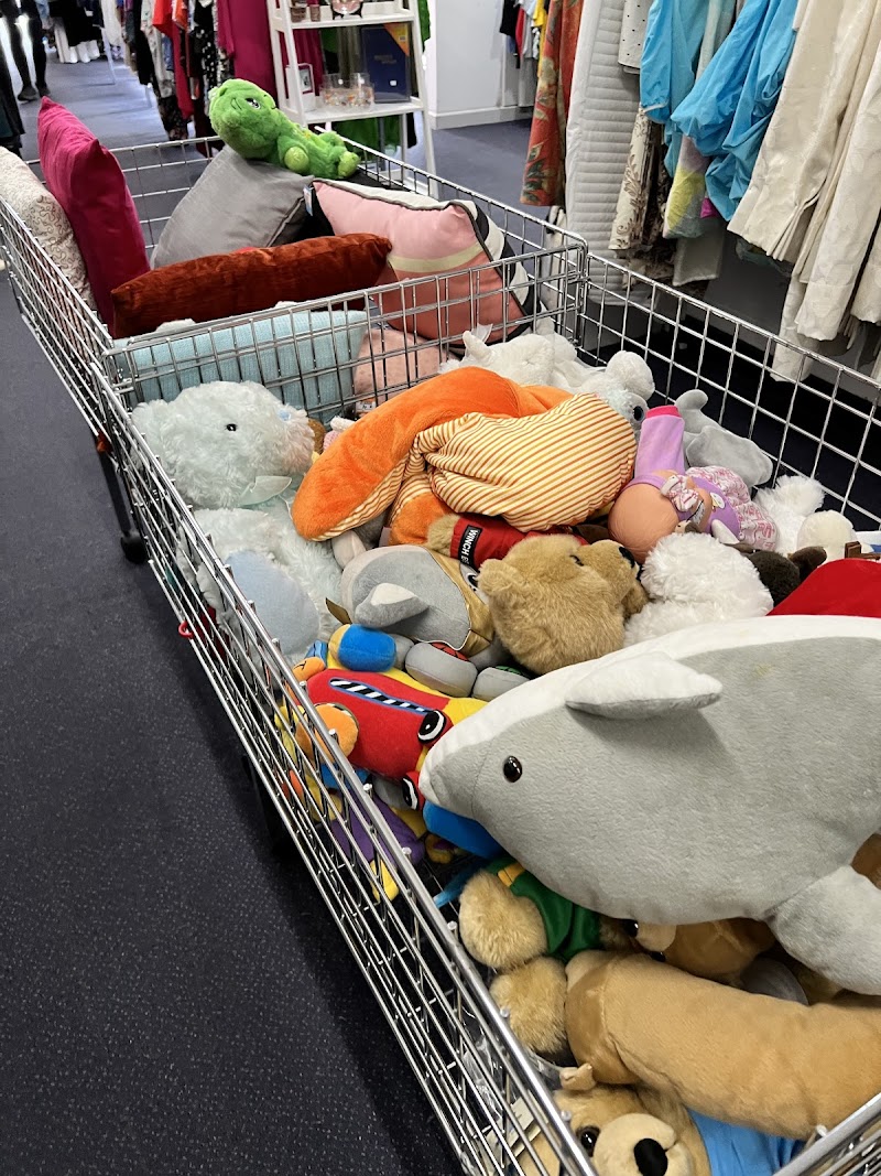 Check out Salvos Stores Richmond in RICHMOND