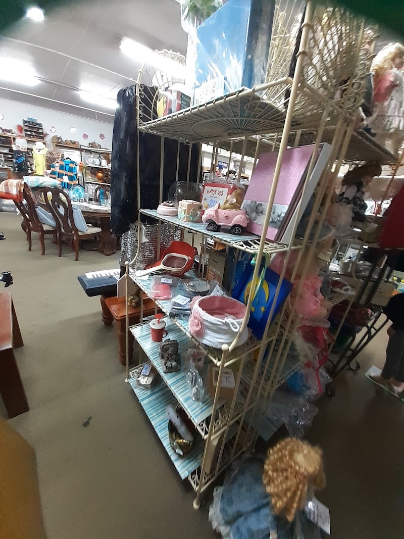 Check out Lifeline Shop Camden in Camden