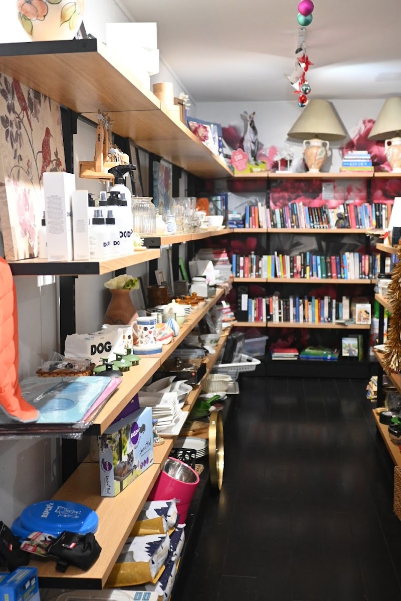 Check out RSPCA Op Shop Paddington in Paddington
