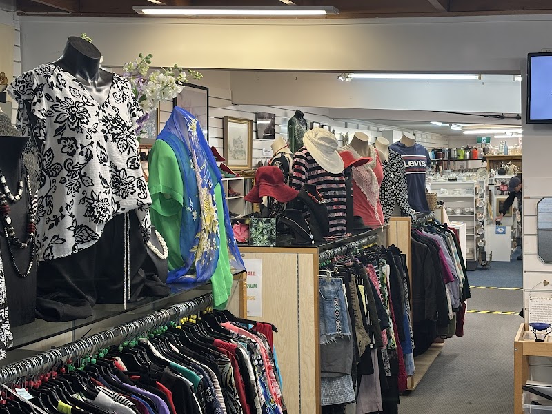 Check out Hospice Shop in Te Anau