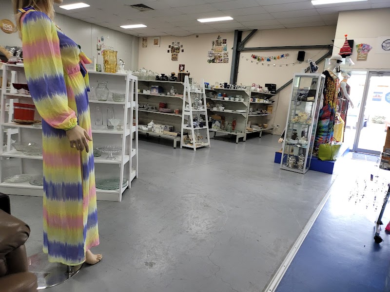 Check out Vinnies Wyong Howarth Street in WYONG
