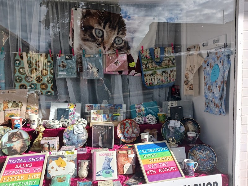 Check out Cat Defence Network in Penrith-Katoomba corridor