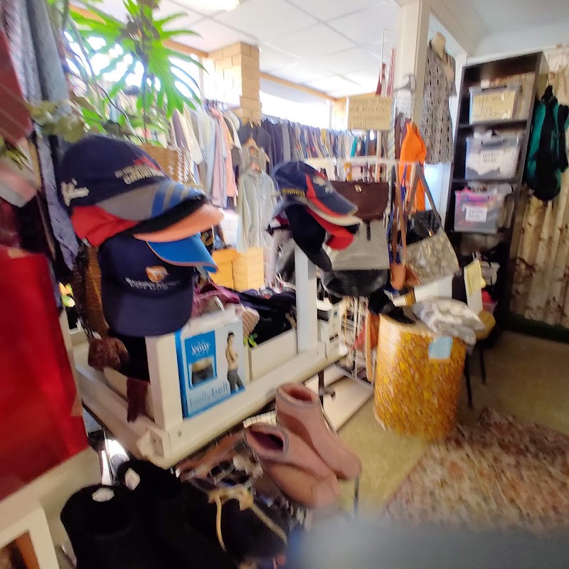Check out Henley Opportunity Shop in Henley Beach