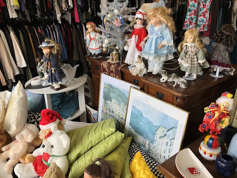 Check out SPCA Op Shop Papamoa in Papamoa Beach