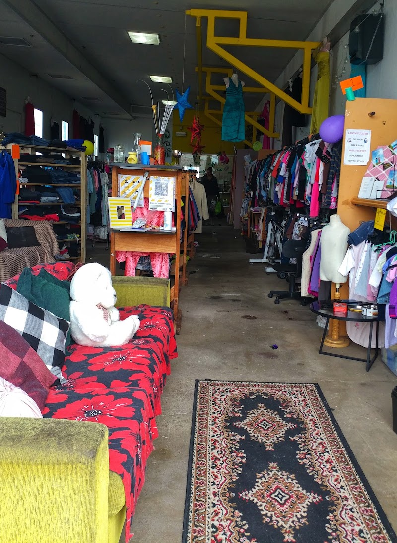 Check out The Op Shop (Lion of Judah) in Dargaville
