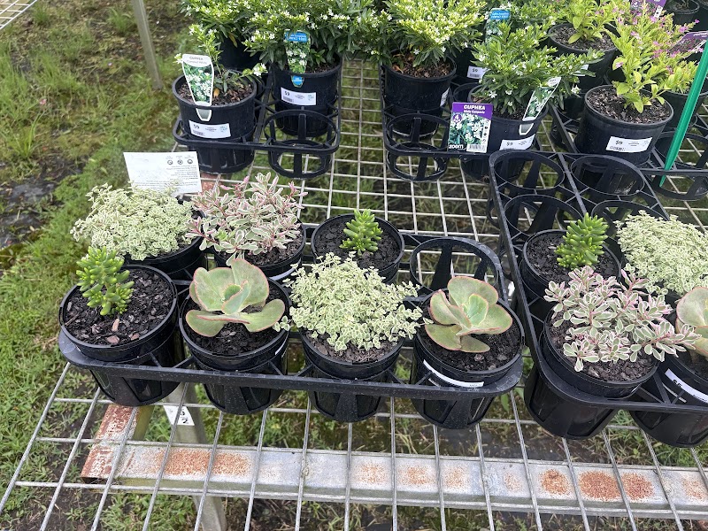 Check out The Salvation Army Watch them Grow Nursery Riverview in Riverview