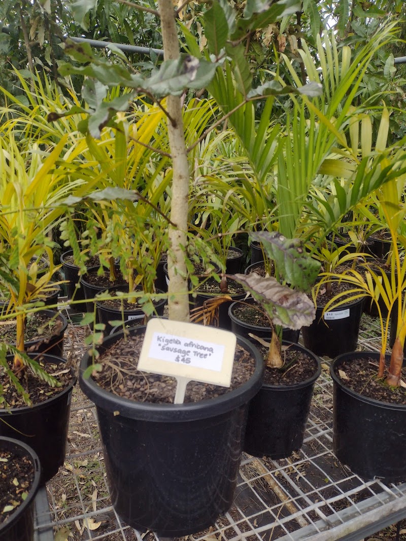 Check out The Salvation Army Watch them Grow Nursery Riverview in Riverview