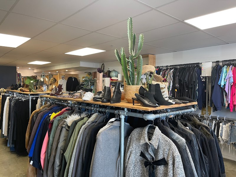 Check out Nine Lives Store in Mount Maunganui