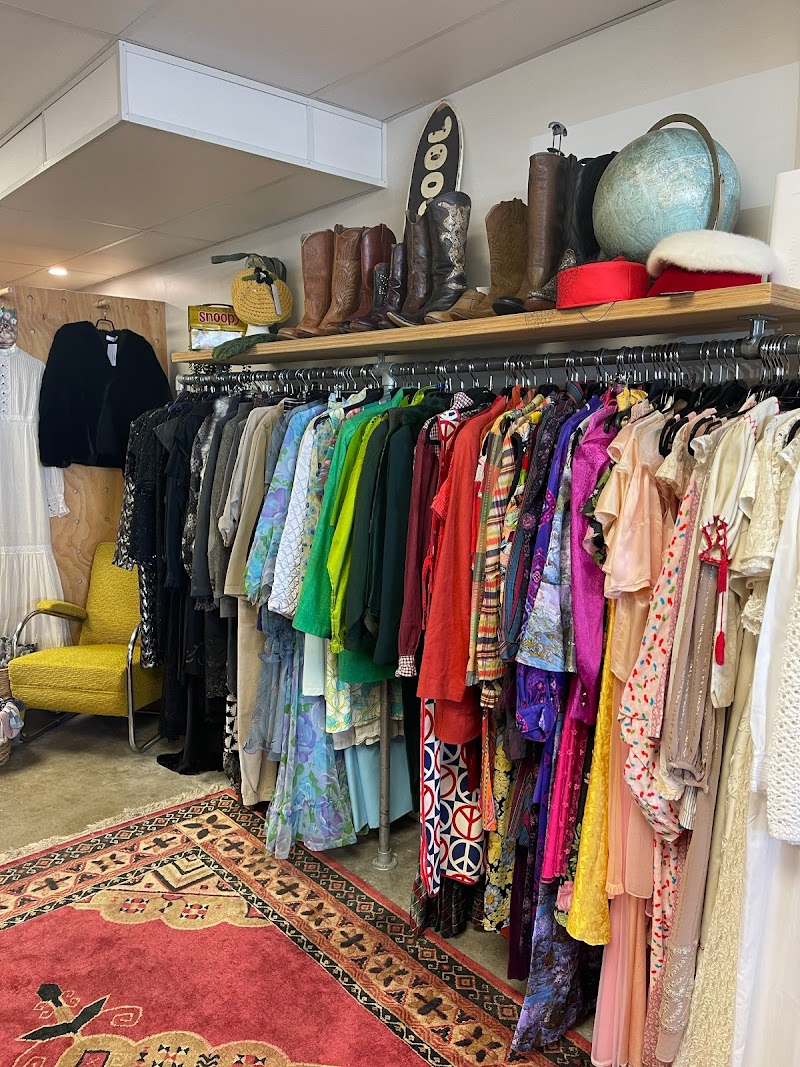 Check out Nine Lives Store in Mount Maunganui