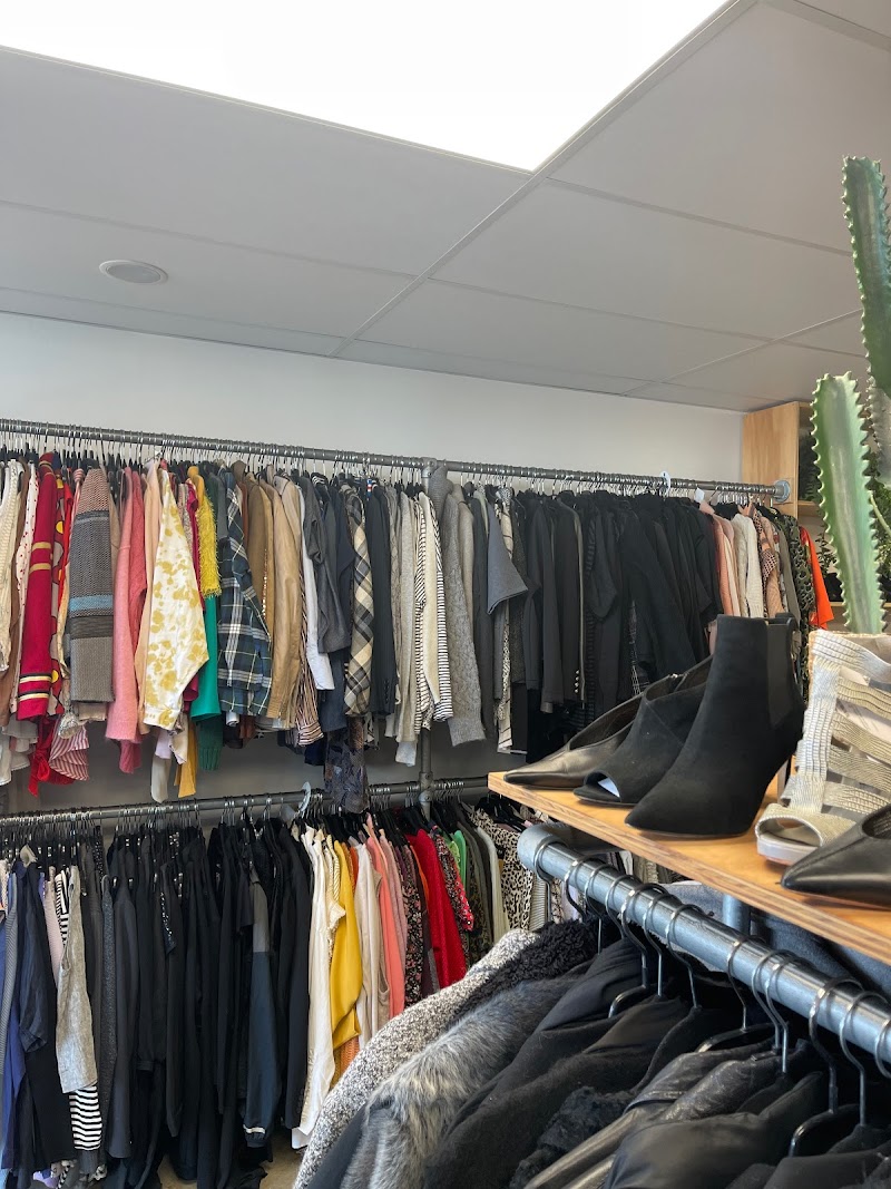 Check out Nine Lives Store in Mount Maunganui
