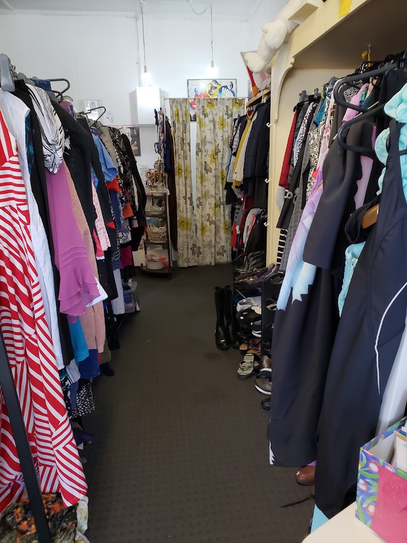 Check out Cat Rescue Dunedin Charity Shop in North East Valley