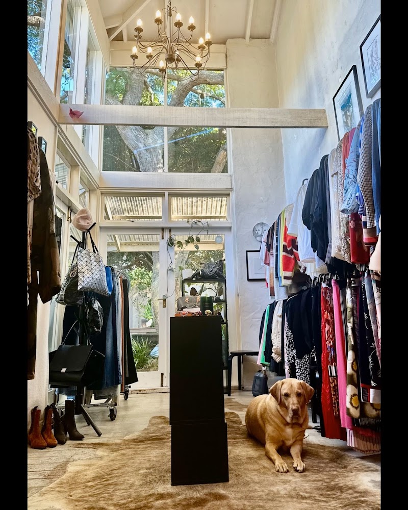 Check out Restyle Traders in Paddington