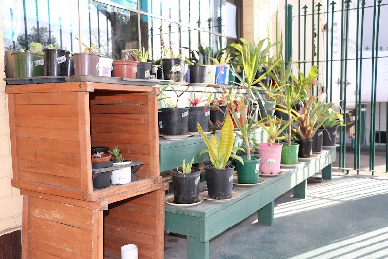 Check out Lifeline Shop Wauchope in Wauchope