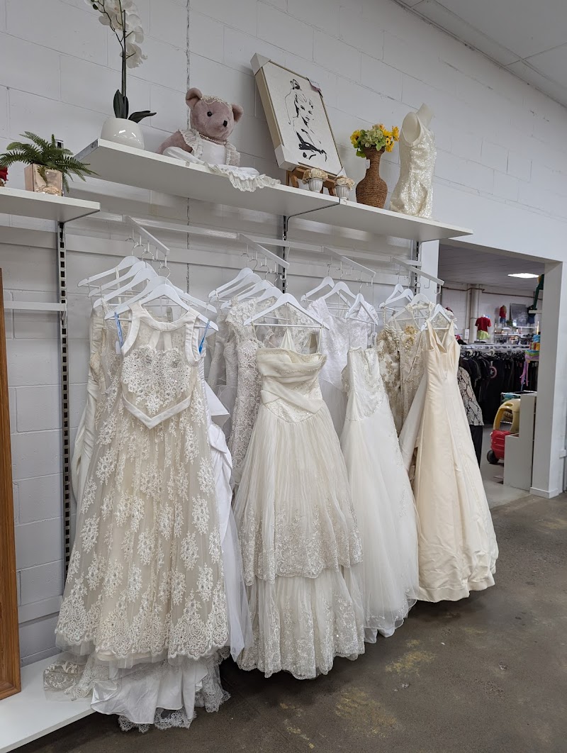 Check out Salvos Stores Underwood in UNDERWOOD
