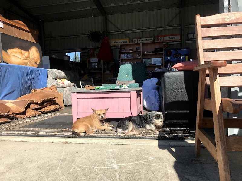 Check out BLUE ELEPHANT Second Hand Goods Bowen in Bowen