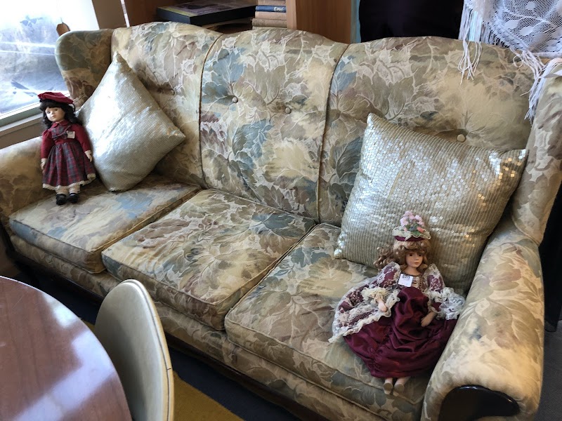 Check out SPCA Op Shop Howick in Howick
