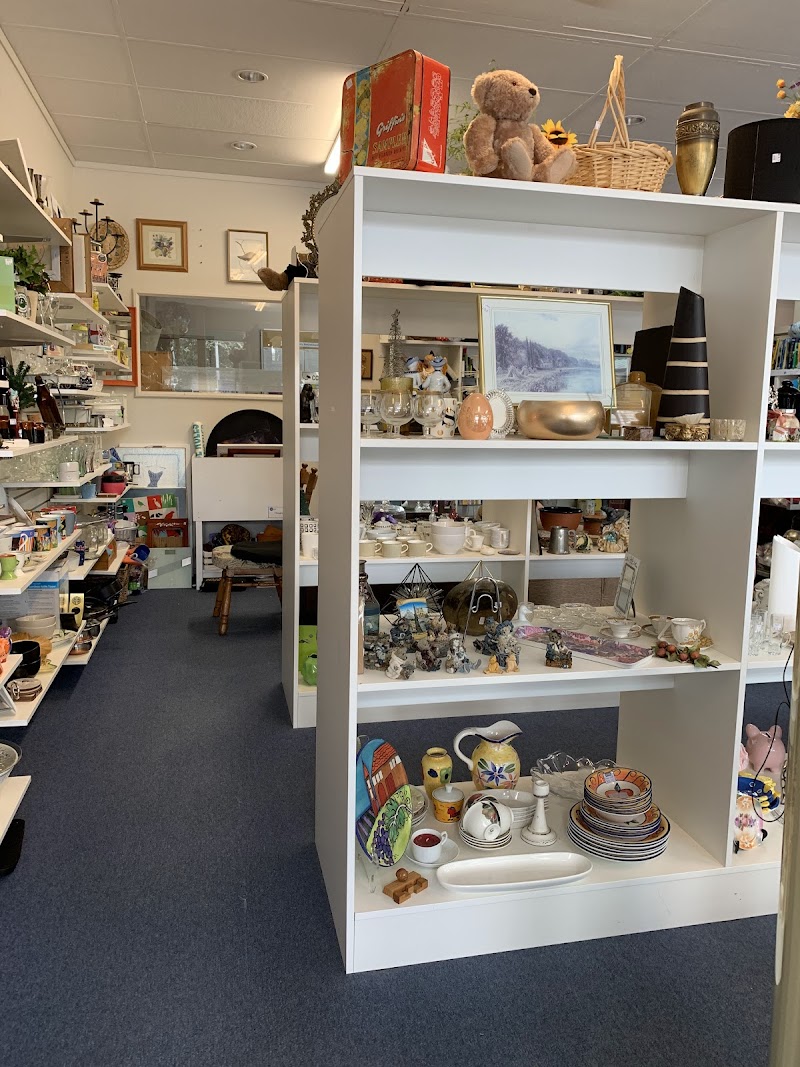 Check out SPCA Op Shop Howick in Howick
