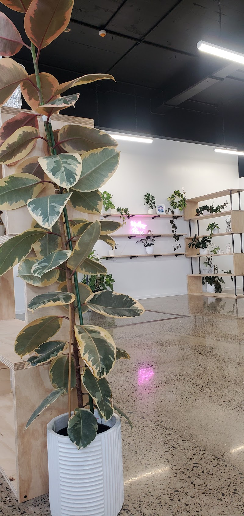 Check out The Vine Op Shop and Pregnancy Choice Center in Whangārei