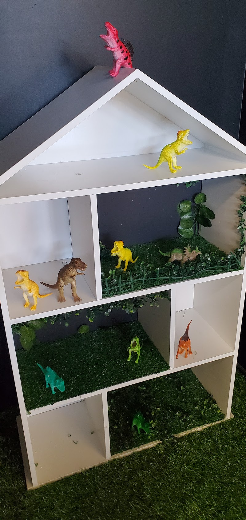 Check out The Vine Op Shop and Pregnancy Choice Center in Whangārei