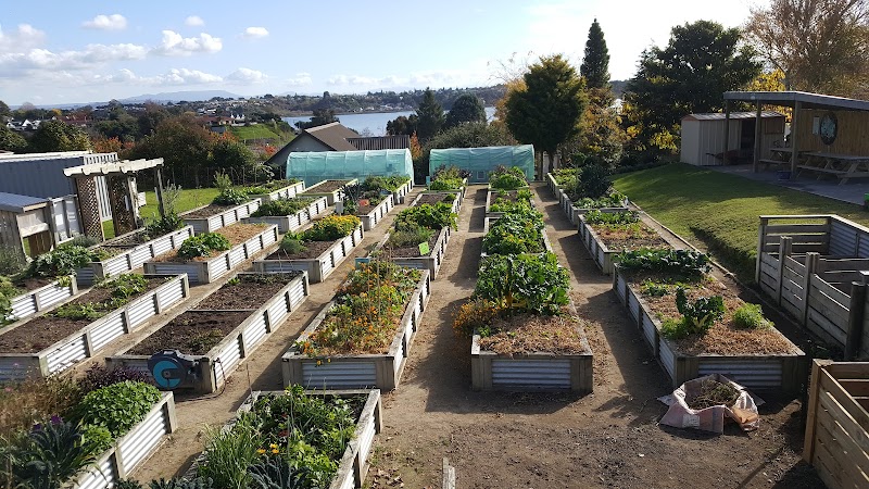 Check out Good Neighbour Aotearoa Trust - Charity in Tauranga South