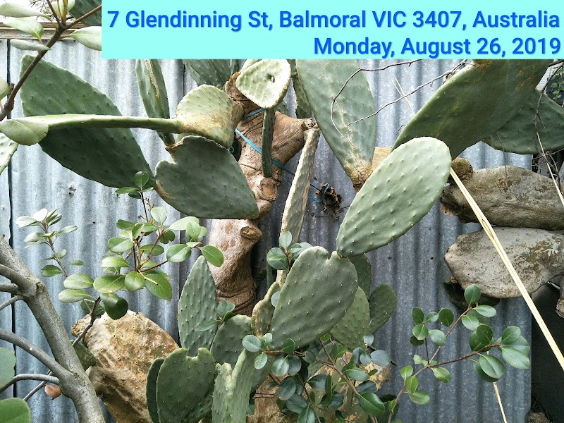 Check out Balmoral Community Store in Balmoral