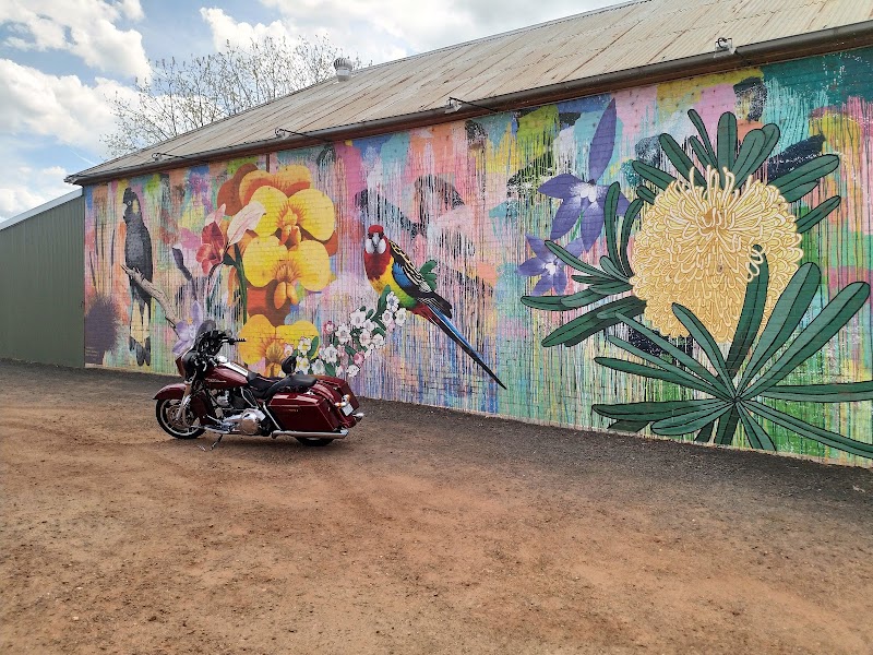 Check out Balmoral Community Store in Balmoral