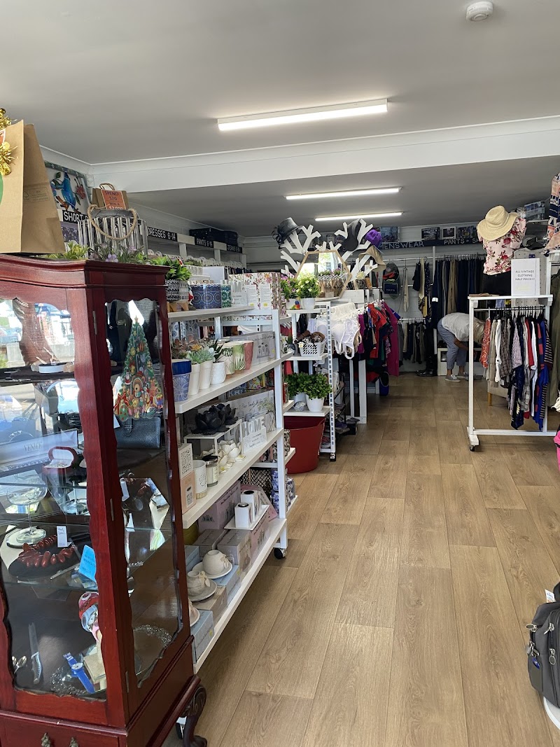 Check out Lifeline Shop Pacific Paradise in Pacific Paradise