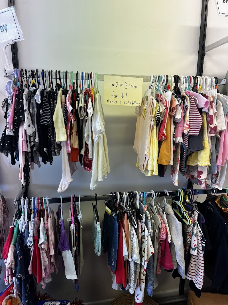 Check out St Andrews Op Shop in Te Kauwhata