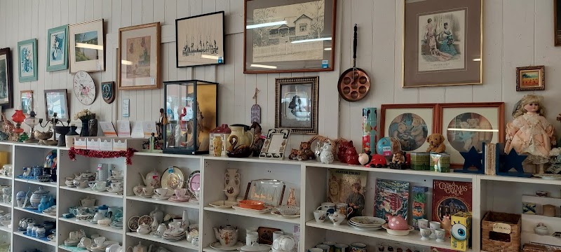 Check out RSPCA Op Shop Sherwood in Sherwood