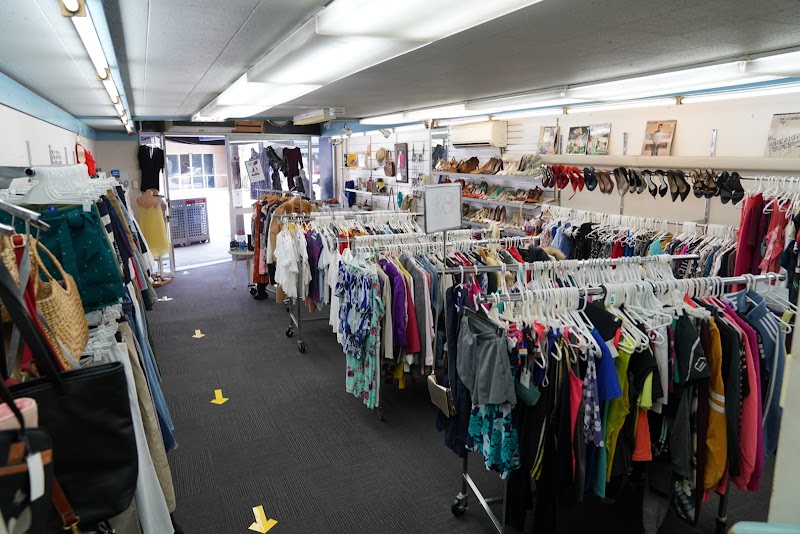 Check out Vinnies Randwick in RANDWICK