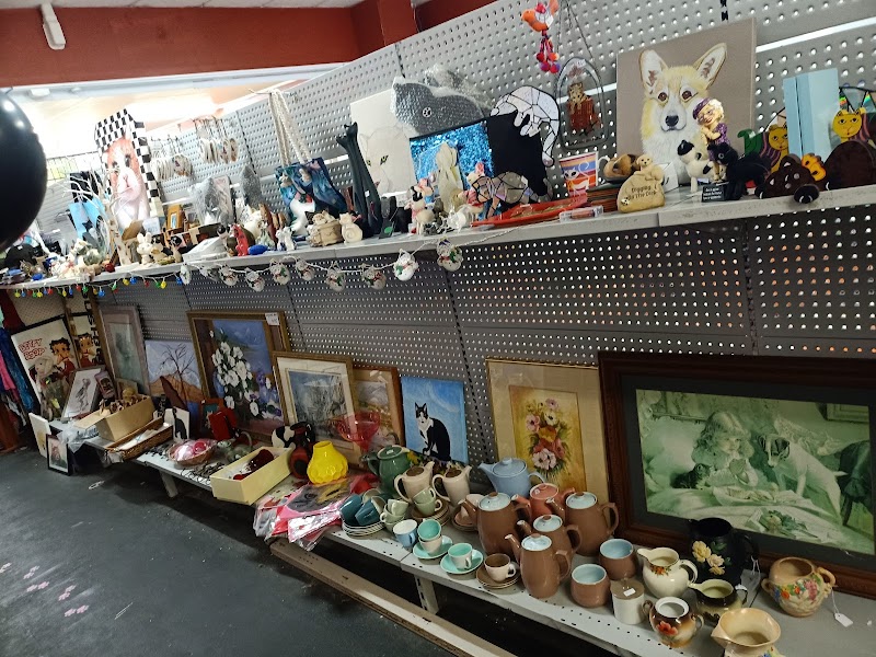 Check out Waihi Town Cats Charity Shop in Waihi