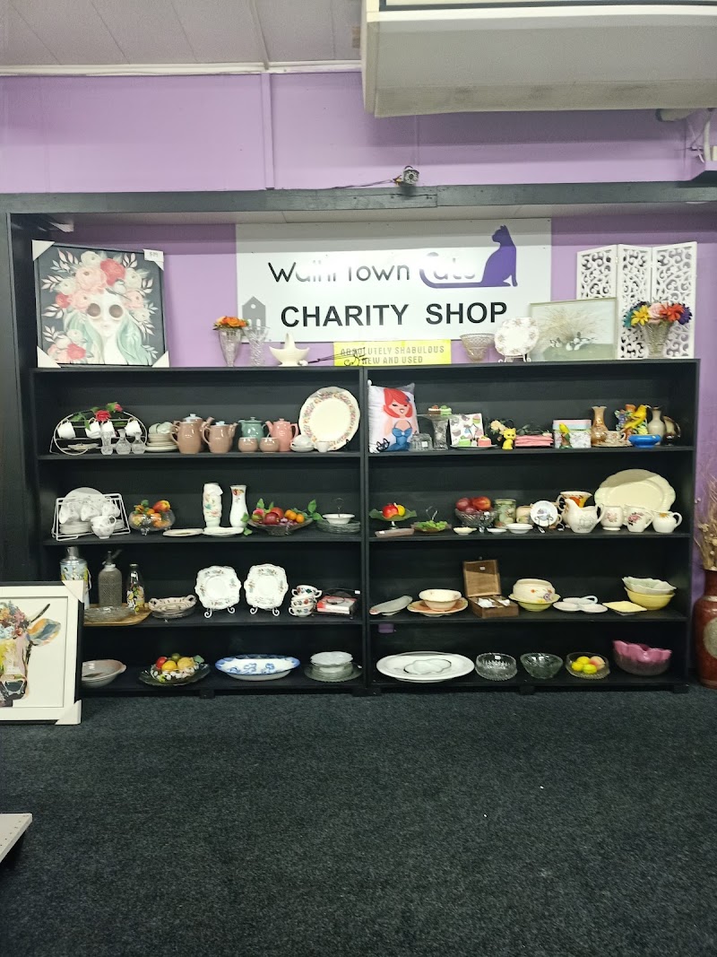 Check out Waihi Town Cats Charity Shop in Waihi