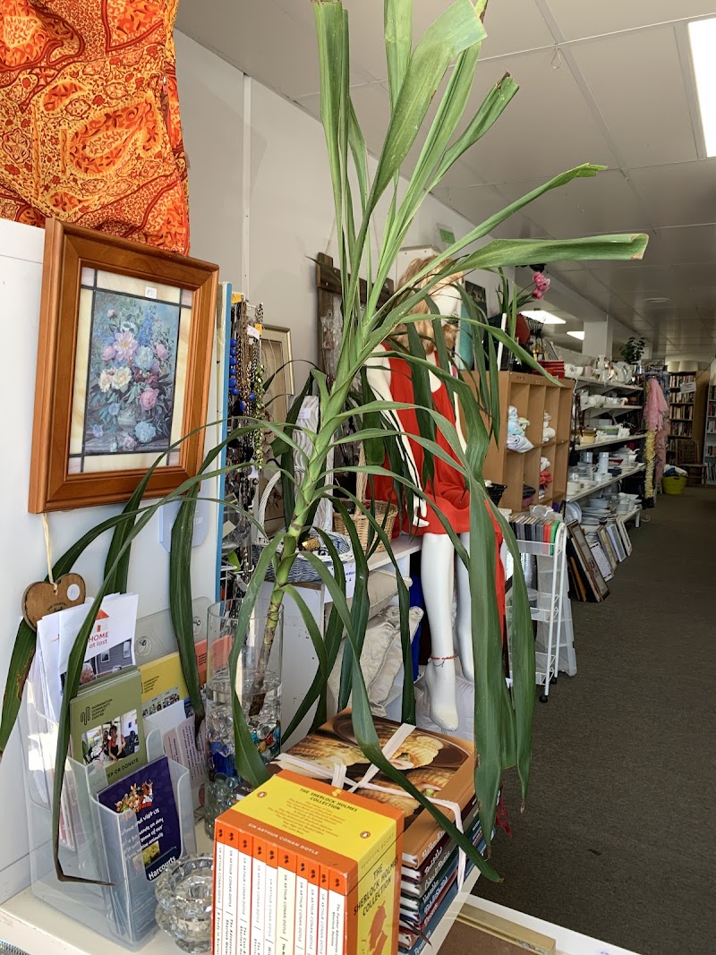 Check out Beach End Op Shop Mornington