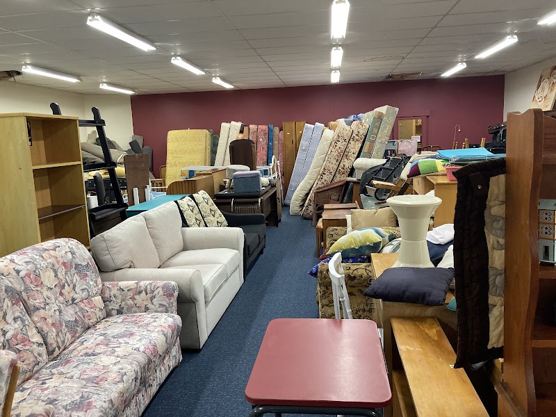 Check out Otorohanga Lions Shop in Otorohanga