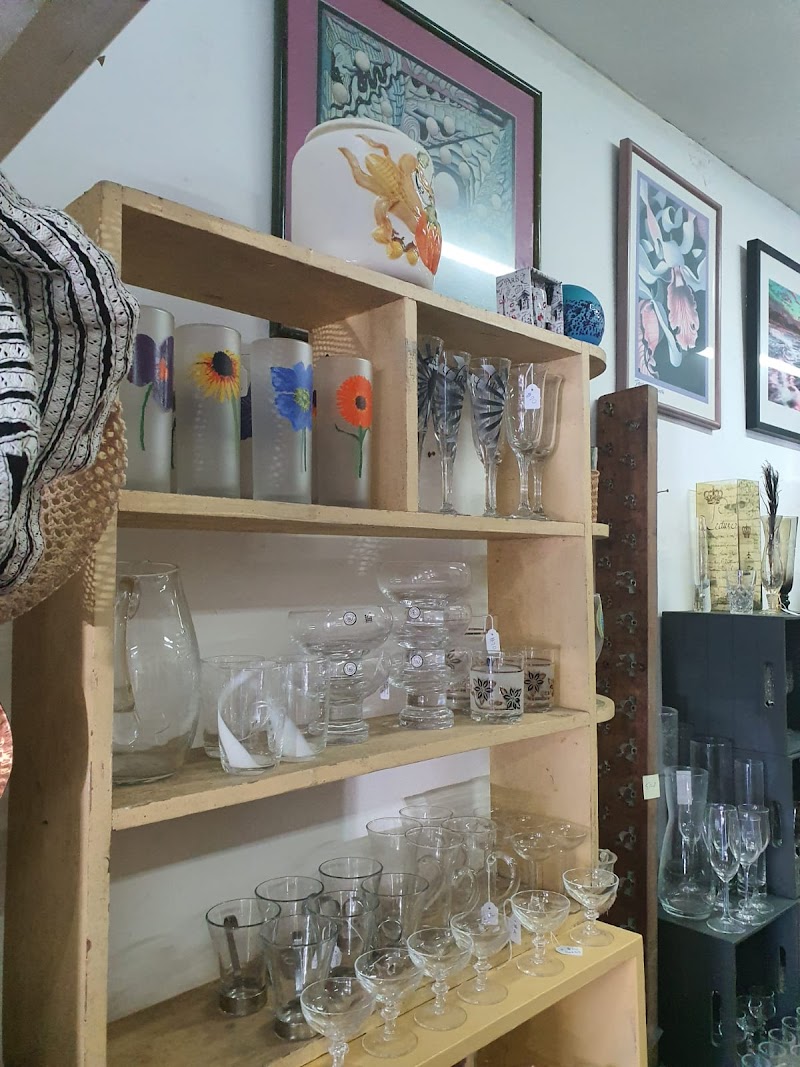 Check out JaziBitz Ashfield in Ashfield