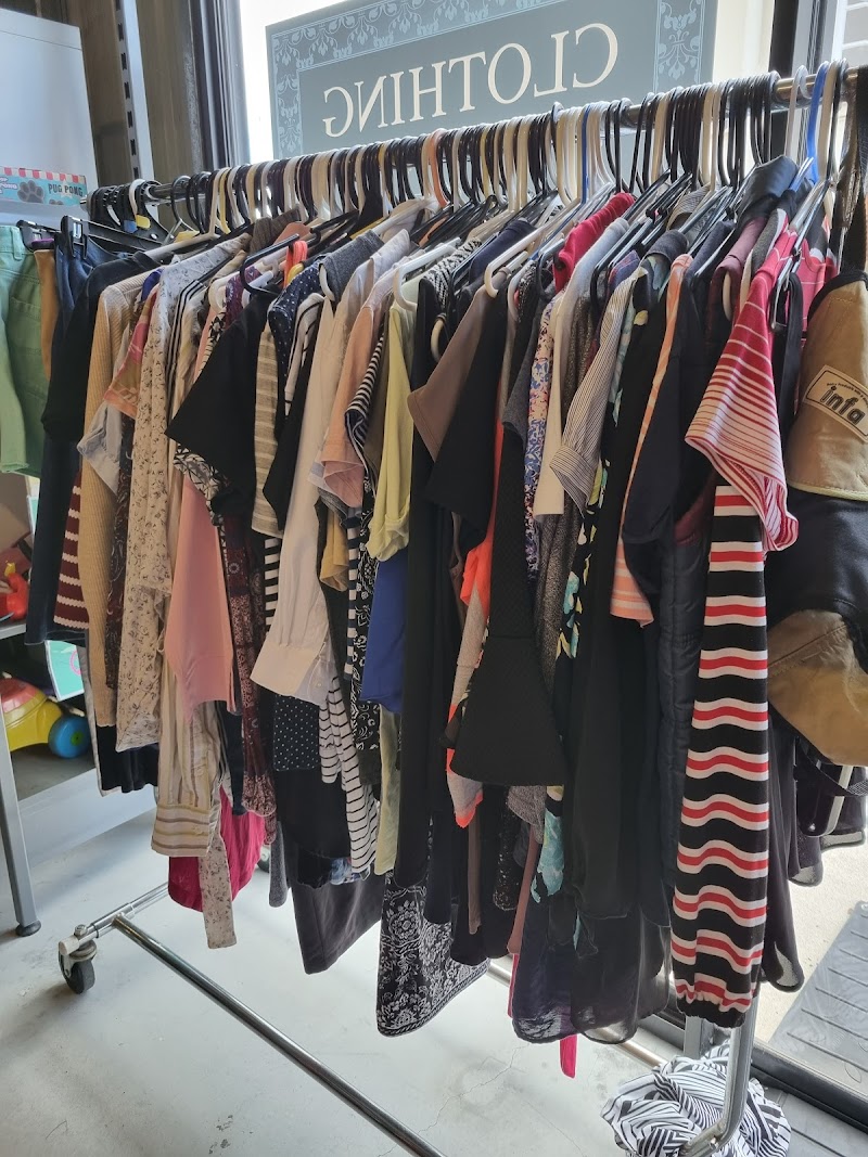 Check out Silky Oaks Op Shop in Manly West