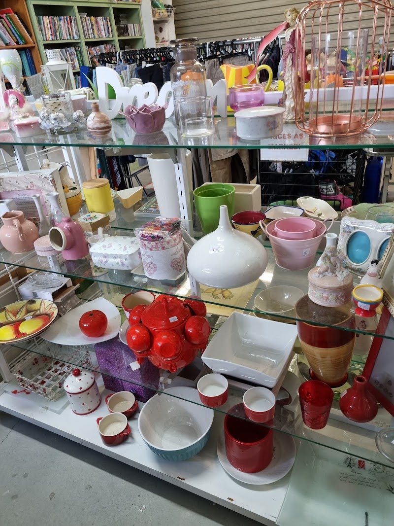 Check out Silky Oaks Op Shop in Manly West