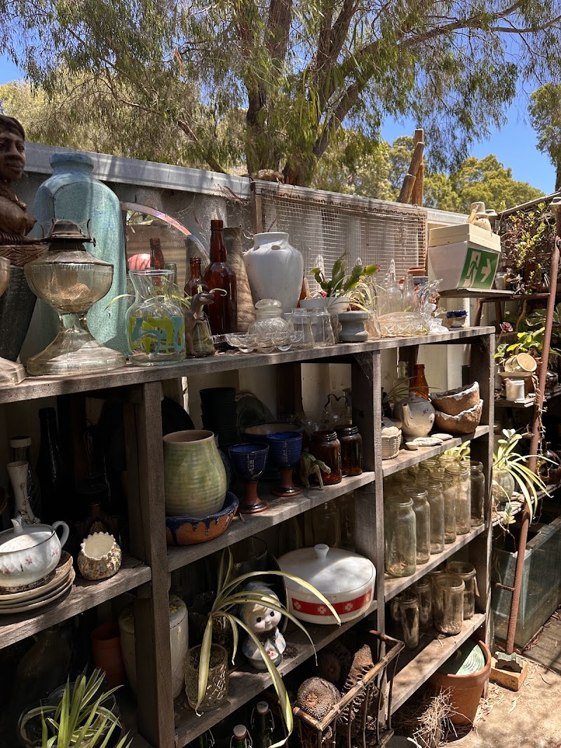 Check out The Tiny Store Witchcliffe in Witchcliffe
