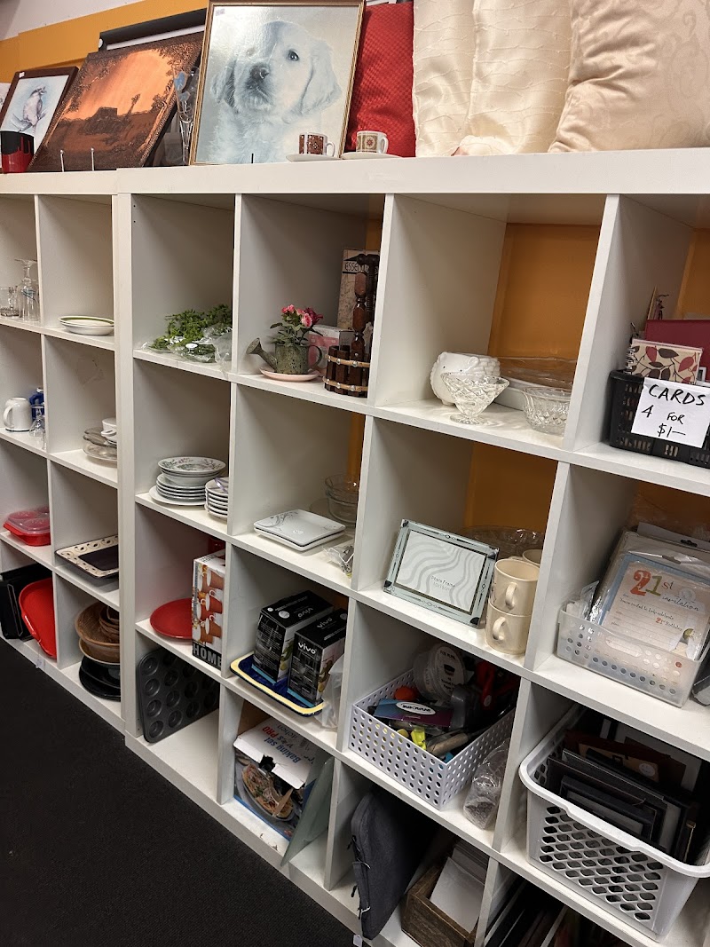 Check out Red Cross Shop Albany in ALBANY